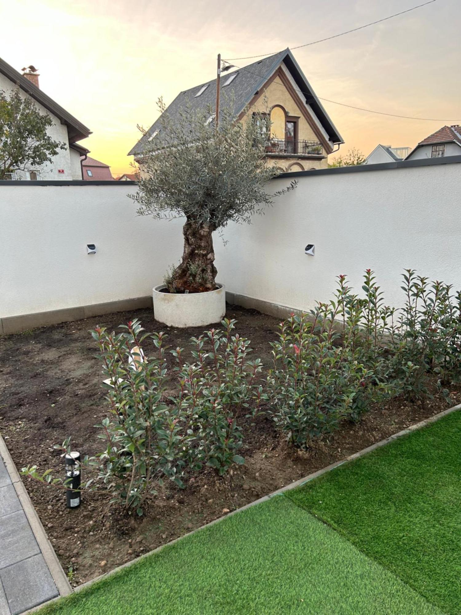 Casa Box Apartment Free Garage Marburg Exterior foto